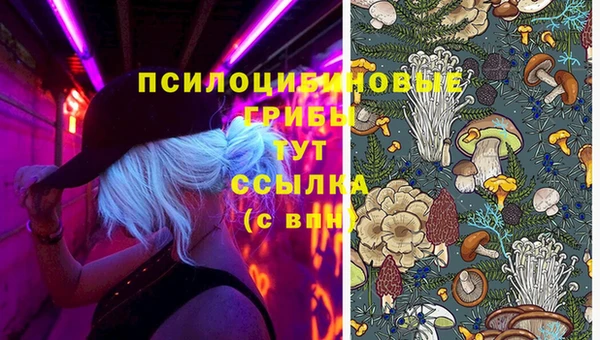 альфа пвп Пролетарск