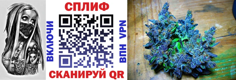Бошки Шишки конопля Микунь